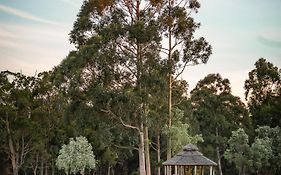 Forest Rise Chalets And Lodge